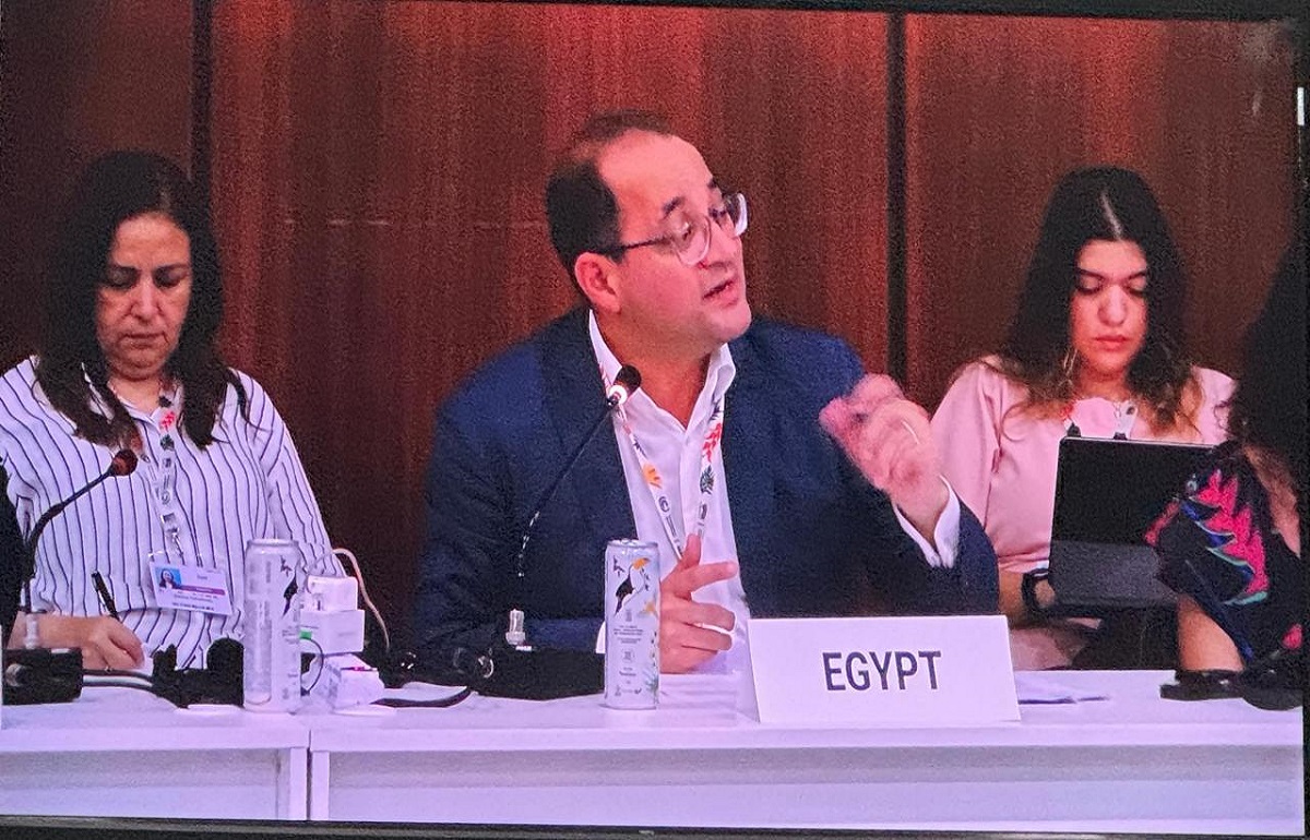 وزير المالية: نستهدف نشر 10 جيجاوات من الطاقة المتجددة بحلول 2028